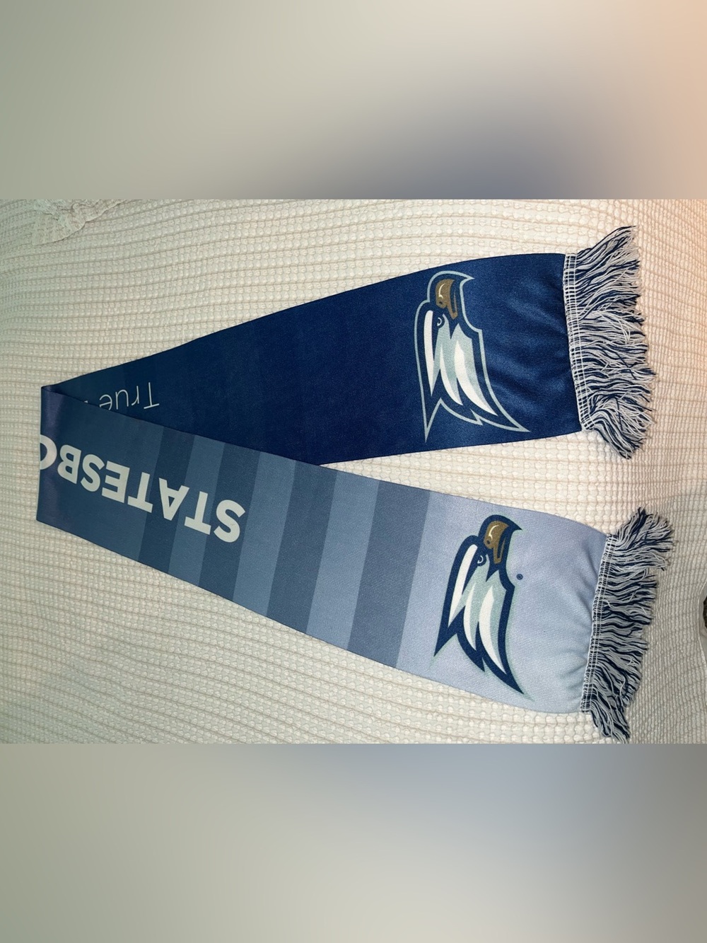 Unisex Georgia Southern Scarf GATA